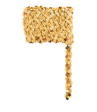 Paillettenband Golvend | Goud 3M