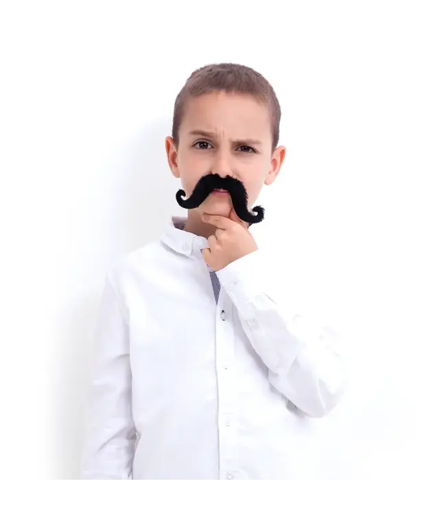 Nep snor 'The artist'