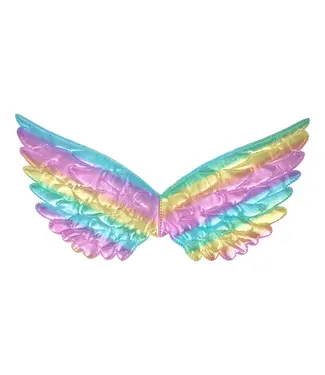 PartyPal Regenboog vleugels | 44 x 22 cm