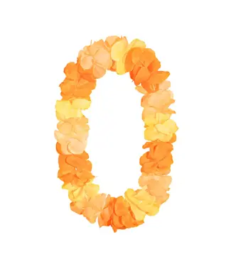 PartyPal Hawaiikrans oranje