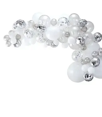 Ginger Ray Ballonnenslinger Zilver | 70 ballonnen