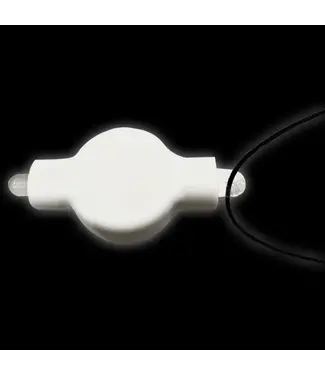 Lampion lampje LED | Wit