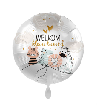 Everloon Folieballon welkom kleine lieverd | 43 cm