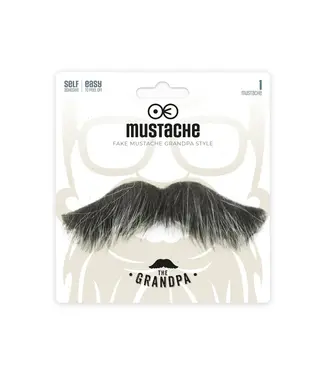 PartyPal Neppe 'opa' snor