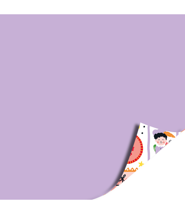 Cadeaupapier Pakje van de Sint | 70 cm x 2 meter | Dubbelzijdig