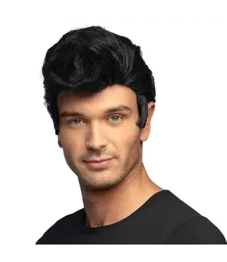 Retro pruik zwart | Danny