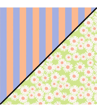 House of Products Duo Pack Vloeipapier op rol | Strip/Daisy | 50cm x 5m