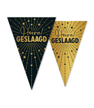 Fiesta Vlaggenlijn Geslaagd | 10 meter | Golden celebratrions