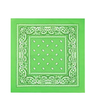 PartyPal Bandana groen | 54 x 54 cm