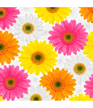 Brauns Cadeaupapier Vrolijke Bloementuin | 2mx70cm | witte madeliefjes, oranje gerbera's, roze gerbera's en gele gerbera's