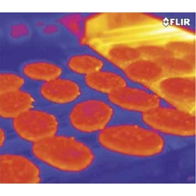 FLIR A15 voor automatiseringstoepassingen (160 x 128 pixels)