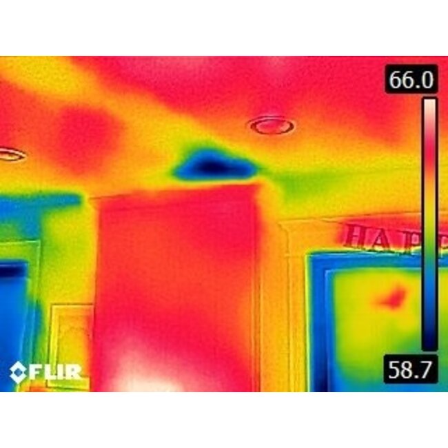 FLIR C2 zakformaat warmtebeeldcamera
