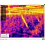 Thermoview 48™