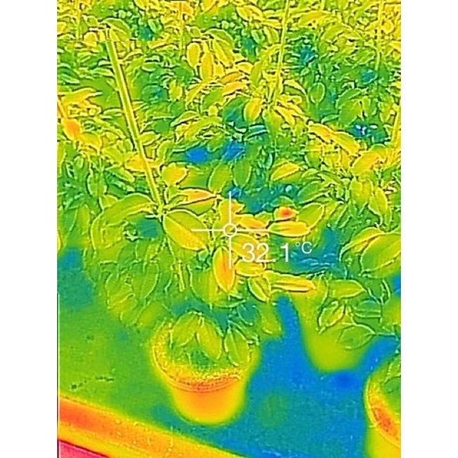 Thermoview 48™