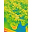 Thermoview 48™