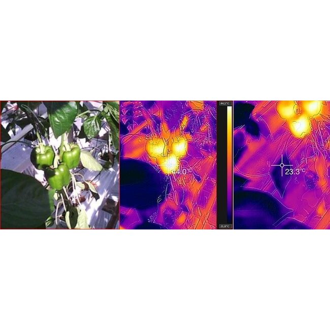 Thermoview 48™