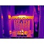 FLIR FLIR E52 - EXX-SERIES Wärmebildkamera