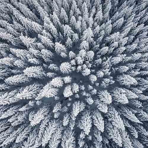 Kunstkerstbomen met sneeuw