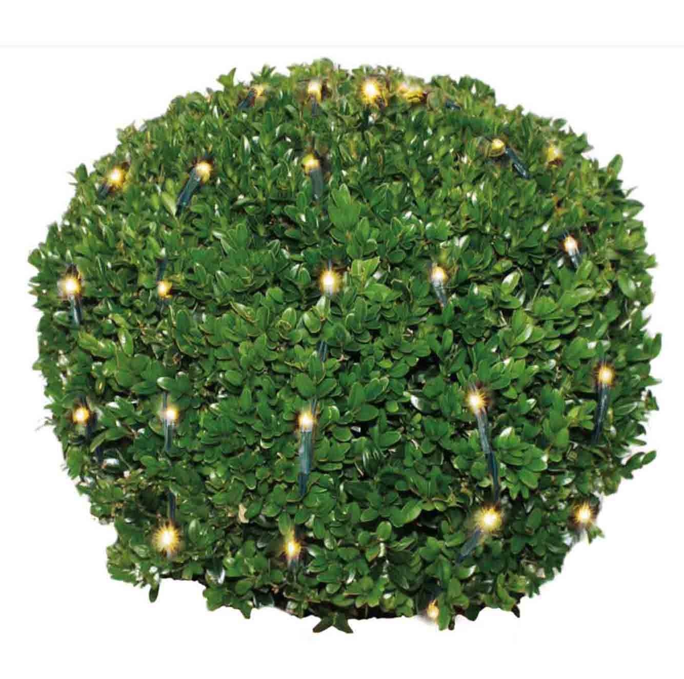 Buxusbalverlichting | 100 LED lampjes | warm wit