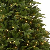 Brampton kunstkerstboom 230xø132cm | groen met 300 LED lampjes