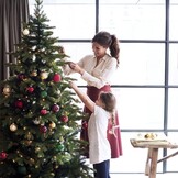 Forest Frosted kunstkerstboom 230xø130cm | groen met bevroren details & 304 LED lampjes