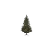Frasier kunstkerstboom 120xø94cm | groen met 168 LED lampjes