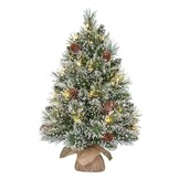Vandans kerstboompje in jute zak 60xø36cm | groen met bevroren details & 20 LED lampjes