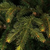 Frasier kunstkerstboom 215xø145cm | groen