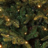 Frasier kunstkerstboom 185xø124cm | groen met 288 LED lampjes