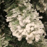 Frosted Millington kunstkerstboom 185xø109cm | wit/met sneeuw