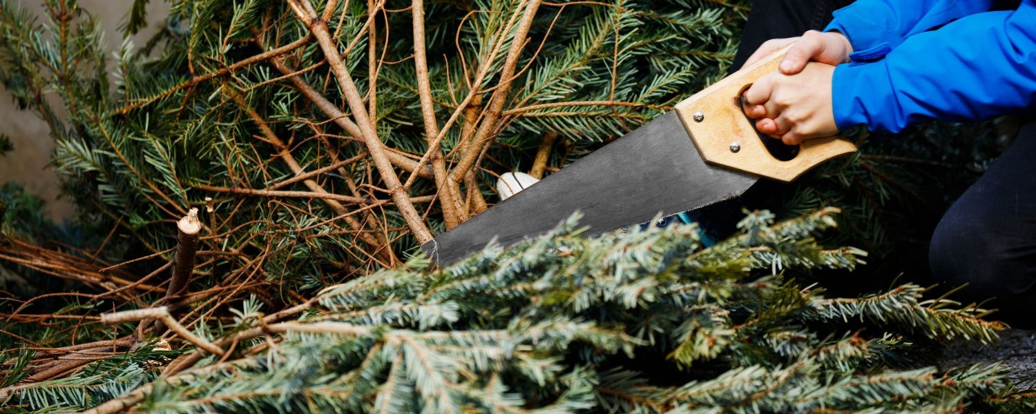 Kerstboom opruimen? Volg onze tips! Kerstland.nl