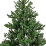 Alba Fir kunstkerstboom 210xø127cm | groen