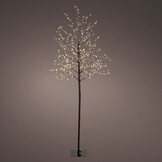 Metalen kerstboom met LED lampjes | geschikt voor buiten | zwart/warm wit | 150cm