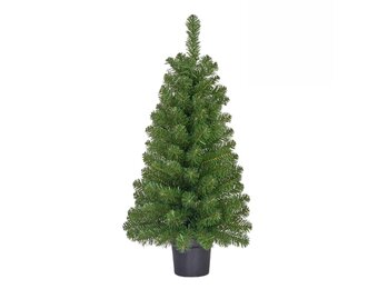 Norton kerstboompje in pot 90xø50cm | groen