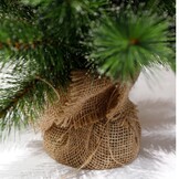 Glendon kerstboompje 60xø23cm | groen