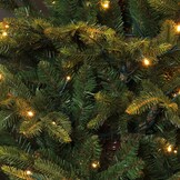Frasier kunstkerstboom 260xø161cm | groen met 648 LED lampjes