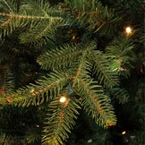Frasier kunstkerstboom 260xø161cm | groen met 648 LED lampjes