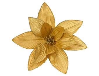Poinsettia/kerstbloem op clip | polyester | fluweel | goud | 15cm