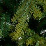 Grimshaw kunstkerstboom 155xø112cm | groen