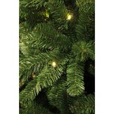 Charlton kunstkerstboom 155xø91cm | groen met 200 LED lampjes