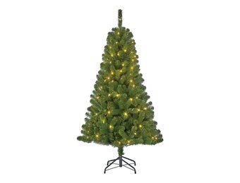 Charlton kunstkerstboom 155xø91cm | groen met 200 LED lampjes