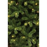 Charlton kunstkerstboom 155xø91cm | groen met 200 LED lampjes