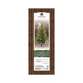 Geneva Fir kunstkerstboom 210xø126cm | groen | 540 LED lampjes