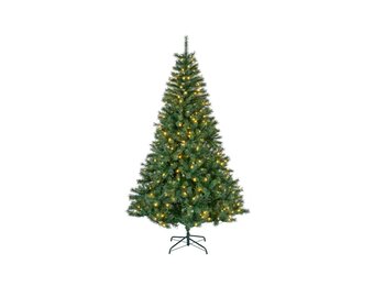 Canada Spruce kunstkerstboom 240xø150cm | groen | 520 LED lampjes