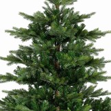 Grandis Fir kunstkerstboom 270xø172cm | groen