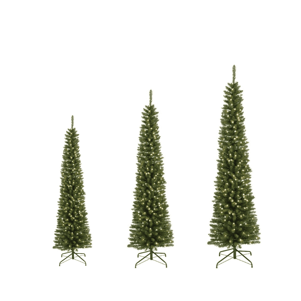 SET-VOORDEEL | Pencil Pine LED family 180/210/240 | smal | groen