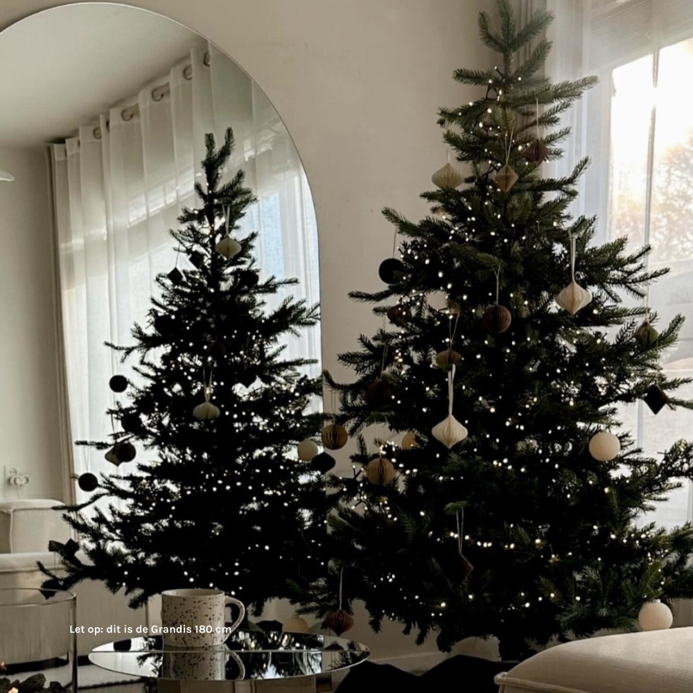 Grandis Fir kunstkerstboom 270xø172cm | groen