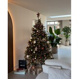 Frasier kunstkerstboom 230xø147cm | groen met 480 LED lampjes