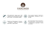 SET-VOORDEEL | Pencil Pine Snowy family 120/150/180cm | smal | groen