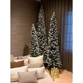 SET-VOORDEEL | Pencil Pine Snowy  family 150/180/210cm | smal | wit/met sneeuw
